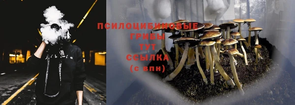 трава Гусь-Хрустальный