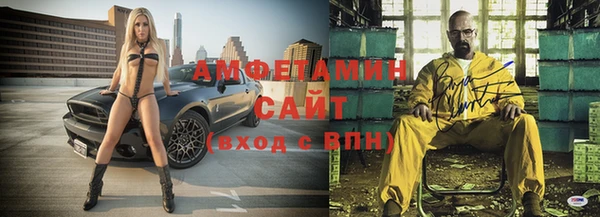 сатива Гусев