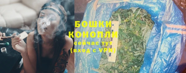 крисы Арсеньев