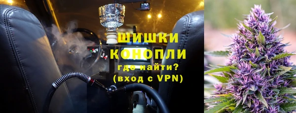 крисы Аркадак